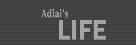 Adlai's Life banner